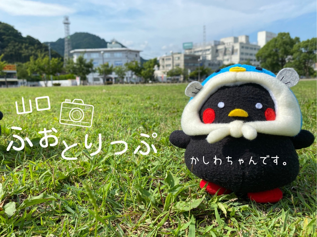 かしわちゃんのプロフィール