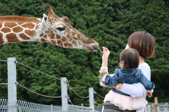 可愛い生き物たちと触れ合える！動物園＆水族館まとめ