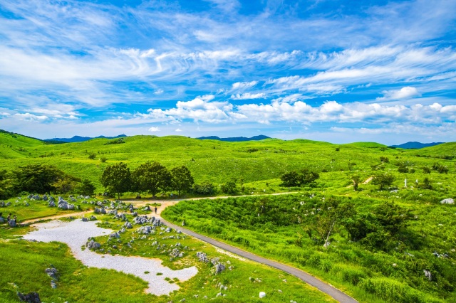 日本最大級！カルスト台地「秋吉台」の楽しみ方