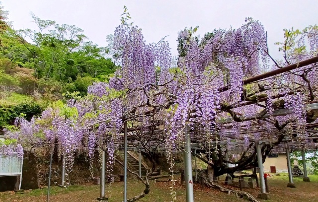 長正司公園