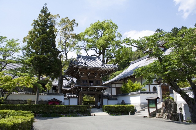 常栄寺雪舟庭