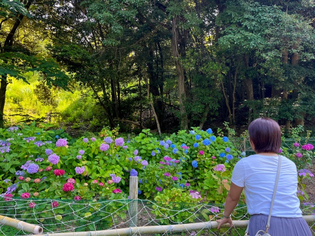 江汐公園