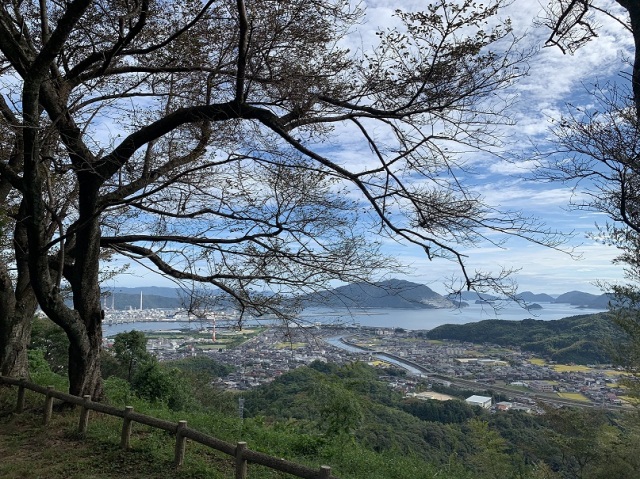 若山