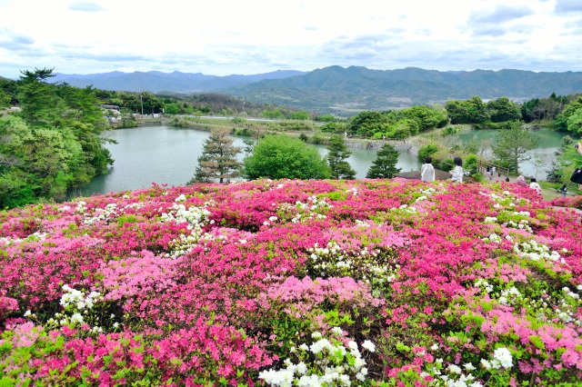 菅無田公園
